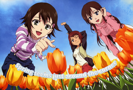 1323931 (a): :6061x4105